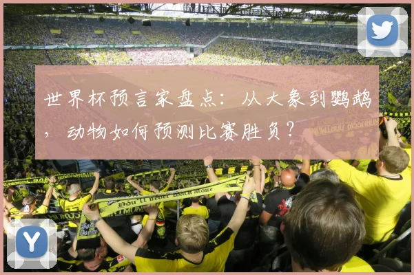 世界杯预言家盘点：从大象到鹦鹉，动物如何预测比赛胜负？
